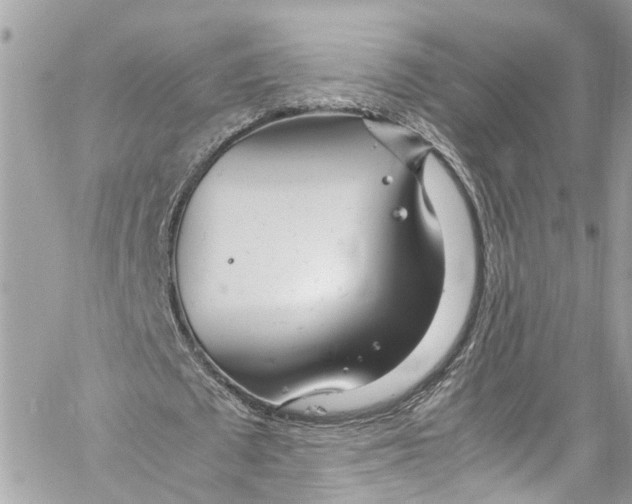 X0000059850673200511181539