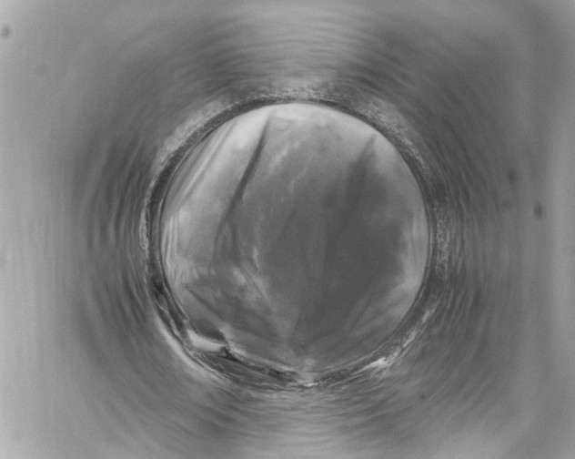 X0000059850674200511181539