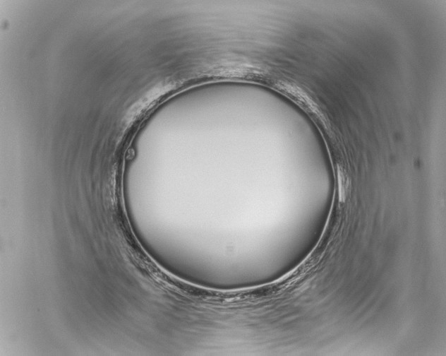 X0000059850675200511181539