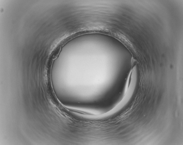 X0000059850676200511181539