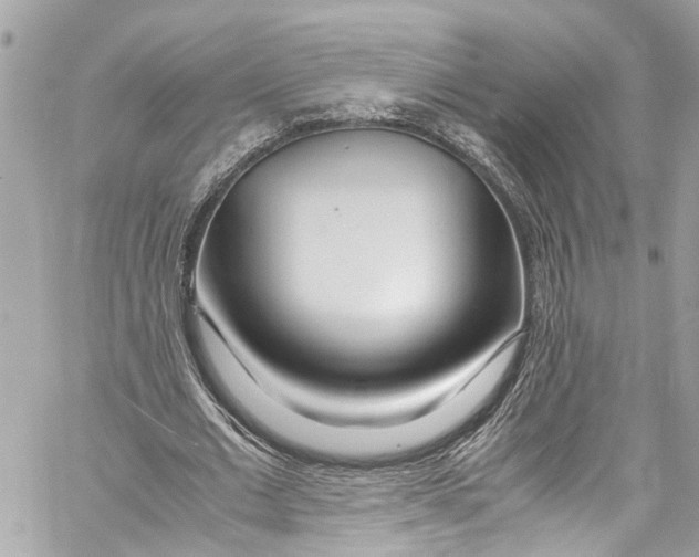 X0000059850677200511181539