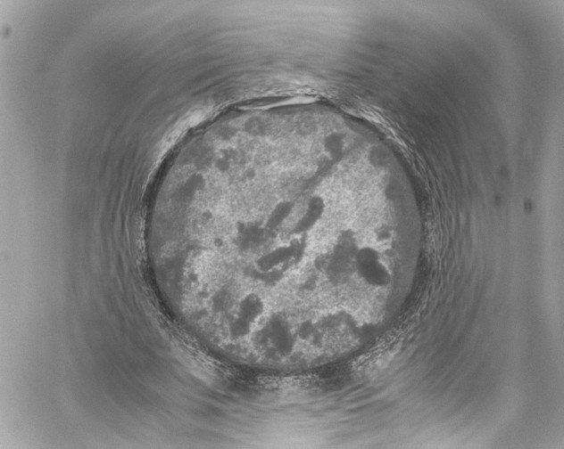 X0000059850679200511181539