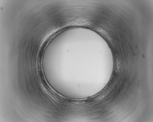 X0000059850680200511181539