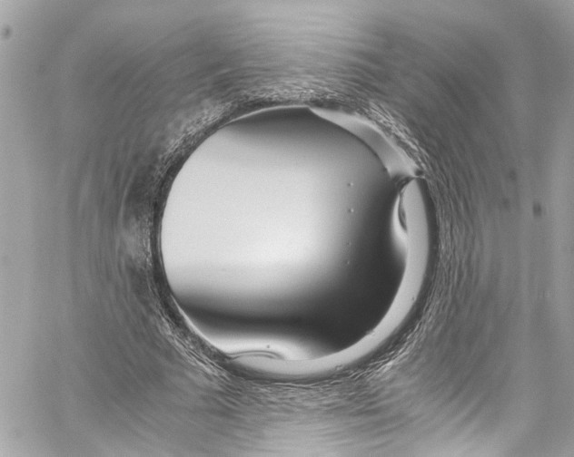 X0000059850681200511181539