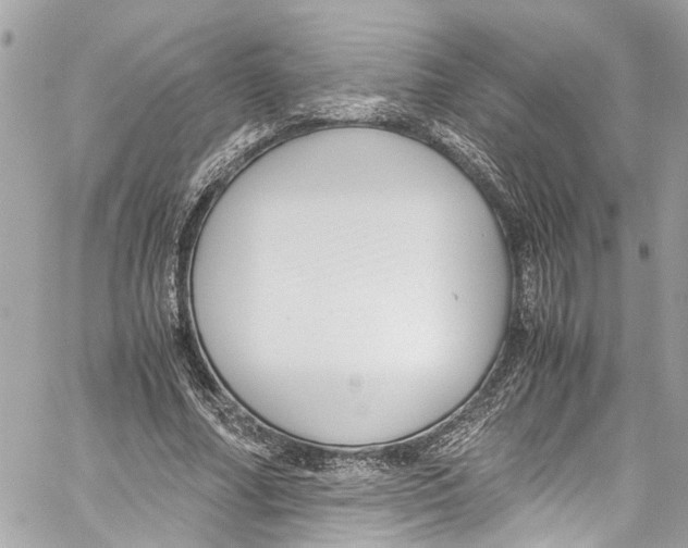 X0000059850682200511181539