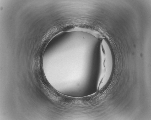 X0000059850685200511181539