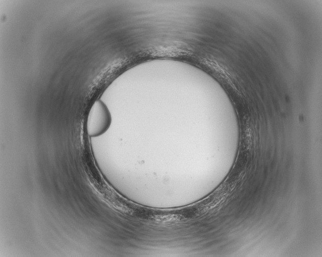 X0000059850686200511181539