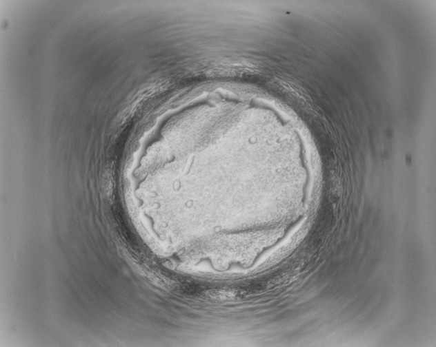 X0000059850687200511181539