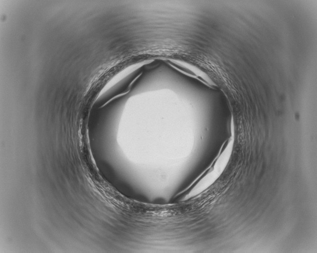 X0000059850688200511181539