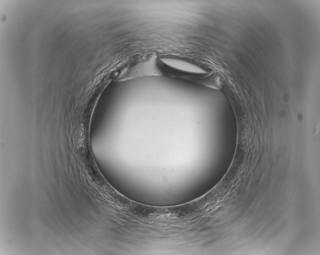 X0000059850689200511181539