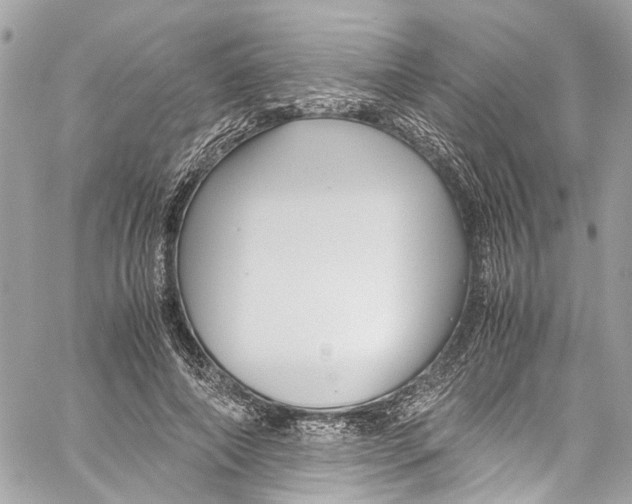 X0000059850690200511181539