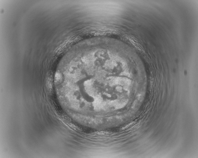 X0000059850691200511181539