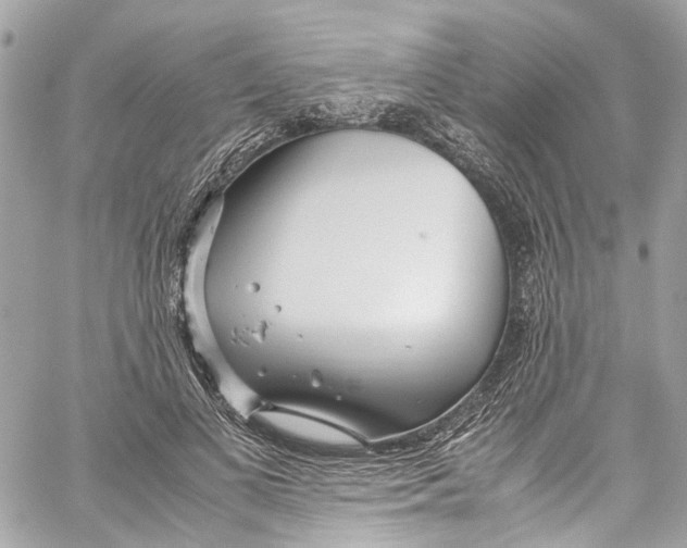 X0000059850693200511181539