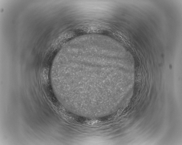 X0000059850695200511181539