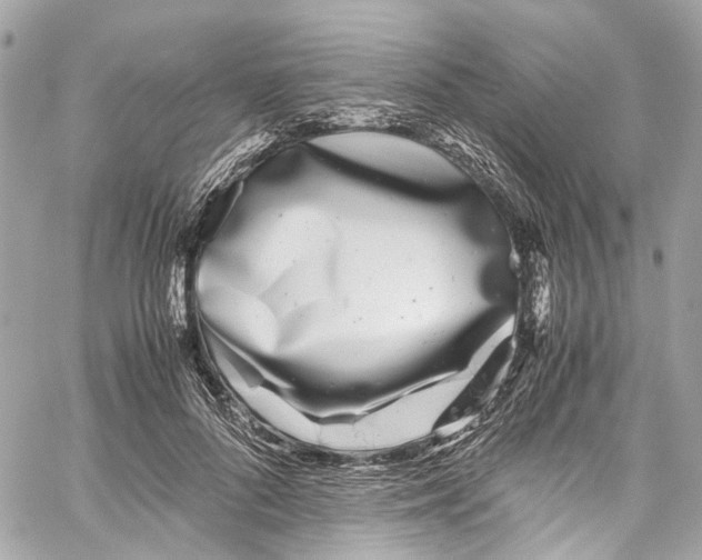 X0000059850696200511181539