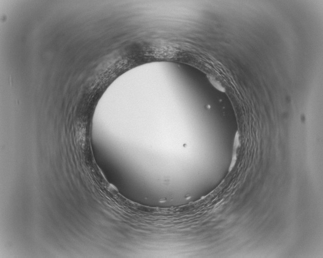 X0000059850697200511181538