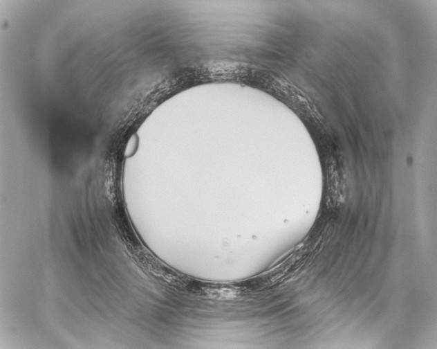 X0000059850698200511181538