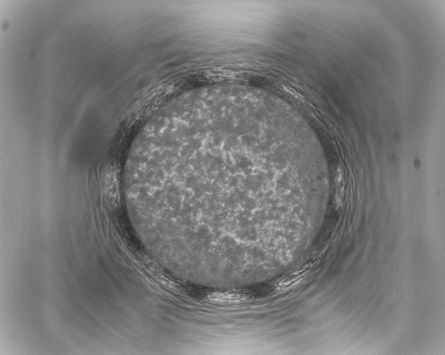 X0000059850699200511181538