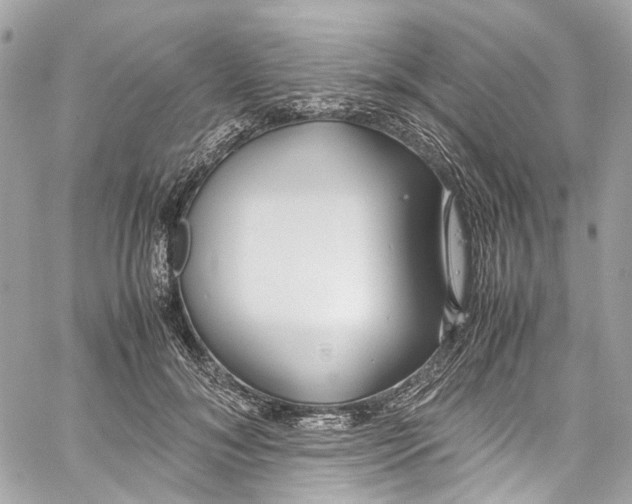 X0000059850700200511181538