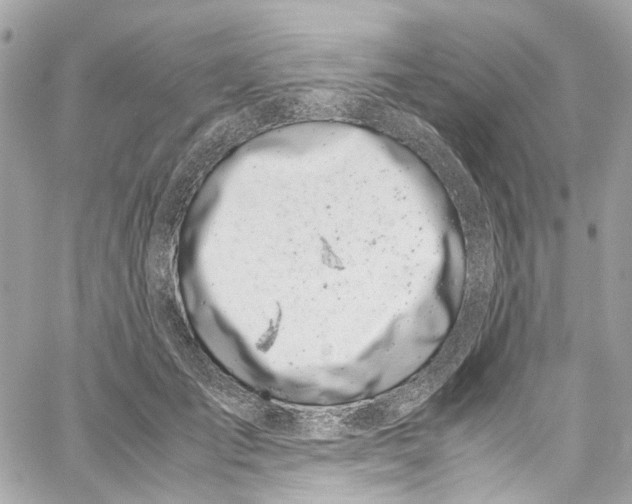 X0000059850701200511181538