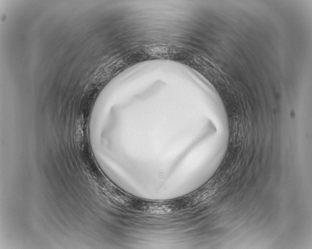 X0000059850702200511181538