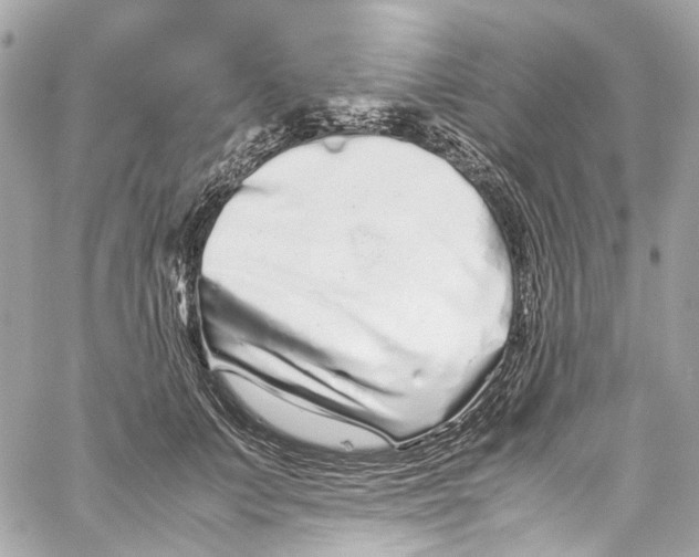 X0000059850703200511181538