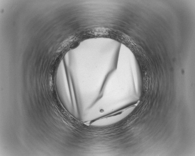 X0000059850704200511181538