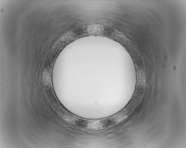 X0000059850705200511181538