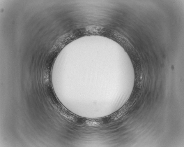 X0000059850706200511181538