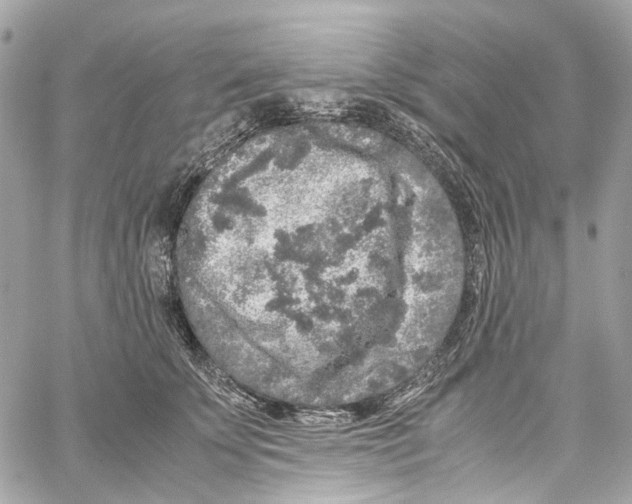 X0000059850707200511181538