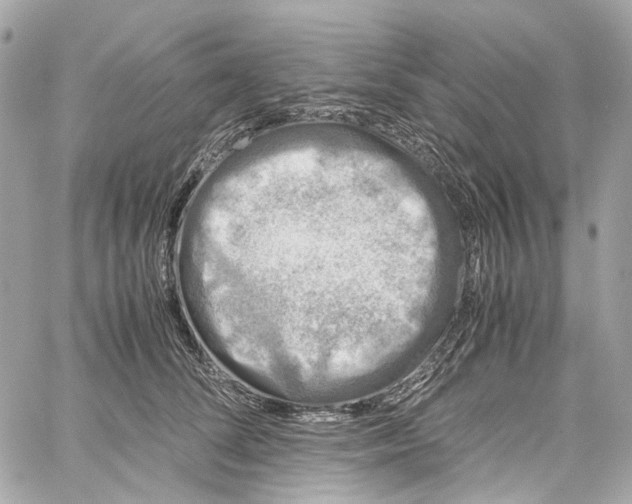 X0000059850708200511181538