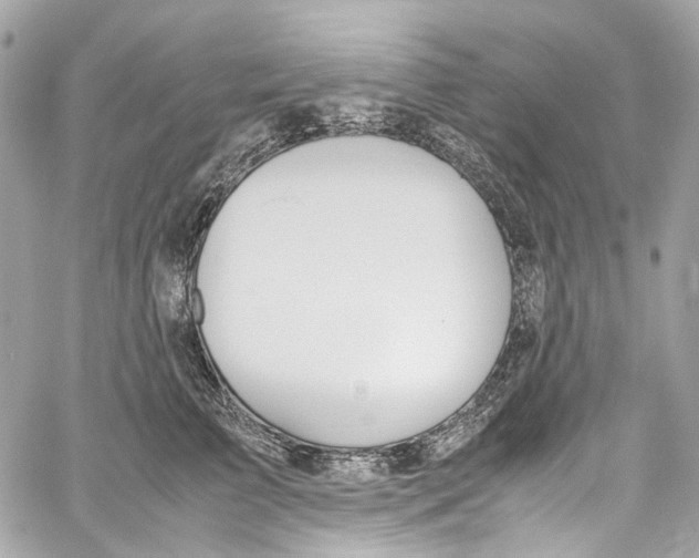 X0000059850709200511181538