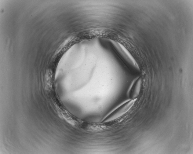 X0000059850712200511181538