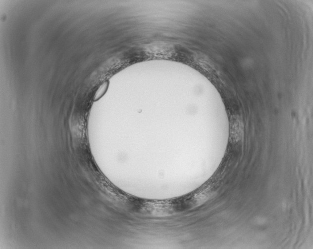 X0000059850713200511181538