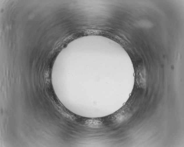 X0000059850714200511181538