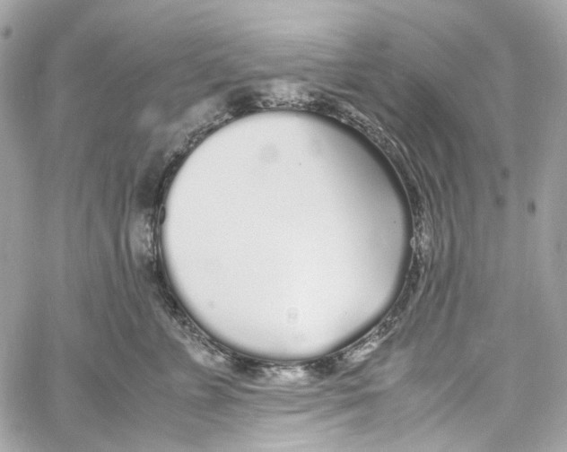 X0000059850715200511181538