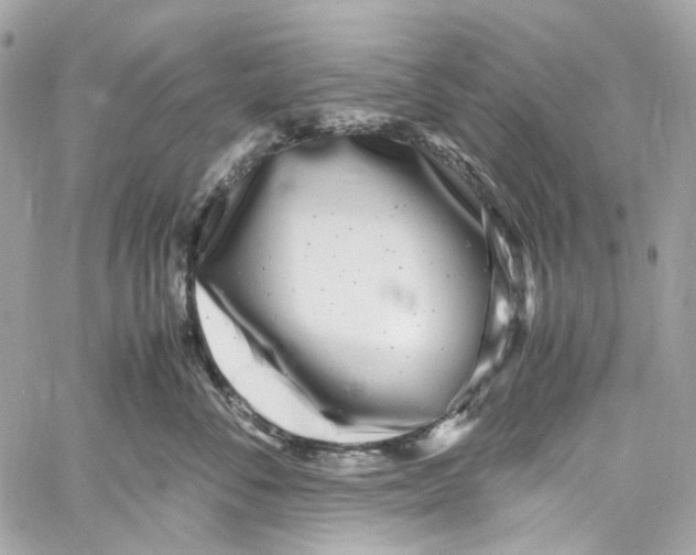 X0000059850716200511181538