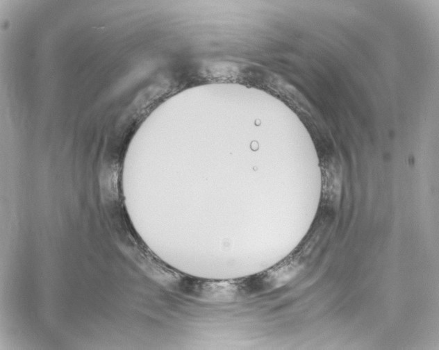 X0000059850717200511181538