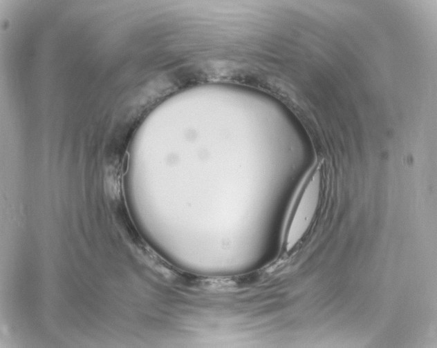 X0000059850719200511181538