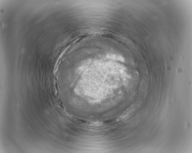 X0000059850720200511181538