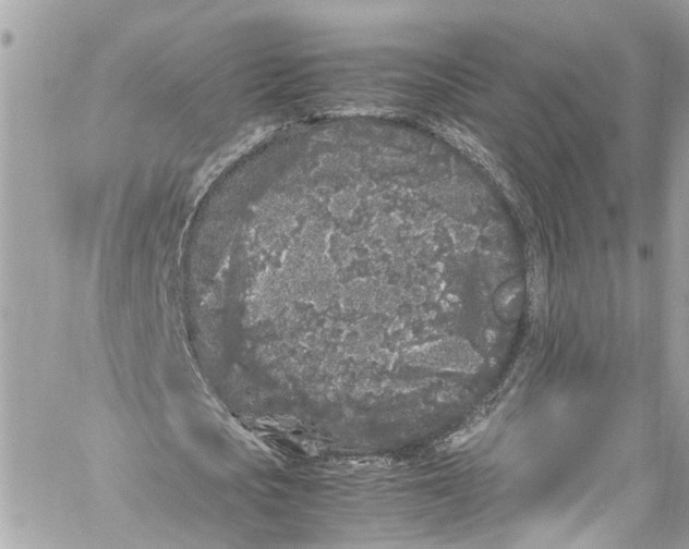 X0000059850721200511181537