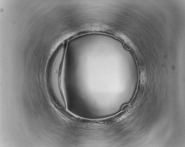 X0000059850722200511181537