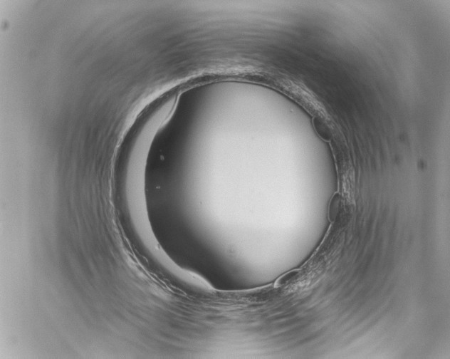 X0000059850724200511181537