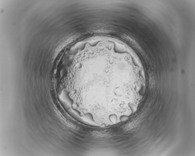 X0000059850725200511181537