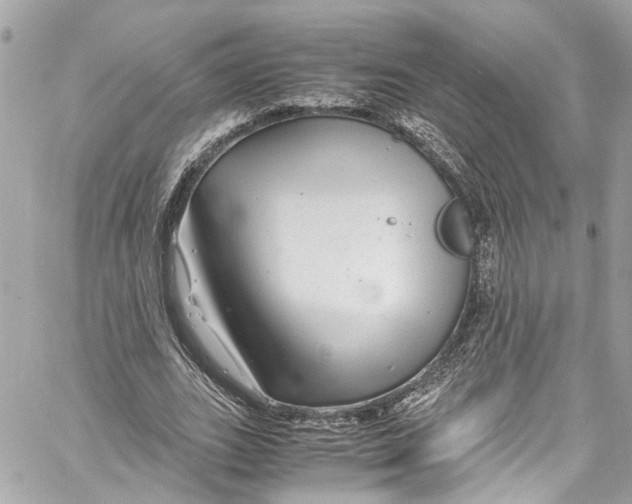 X0000059850727200511181537