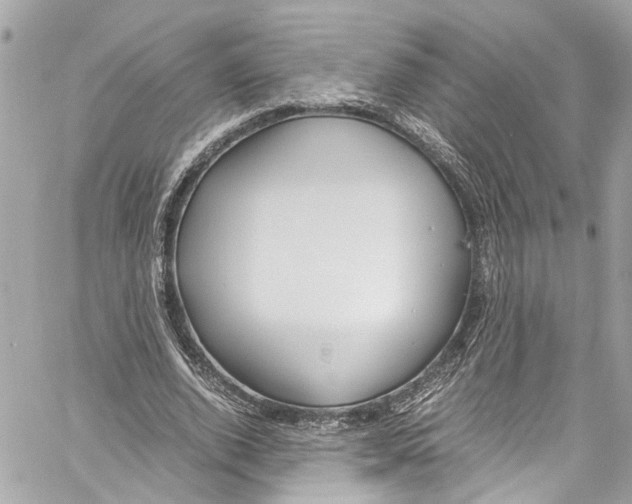 X0000059850728200511181537