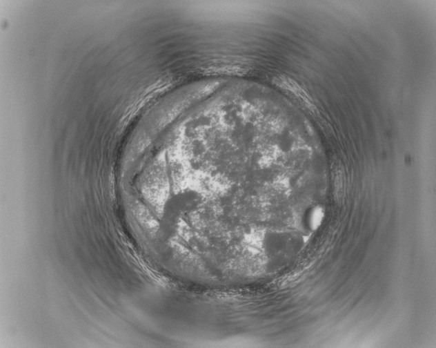 X0000059850729200511181537