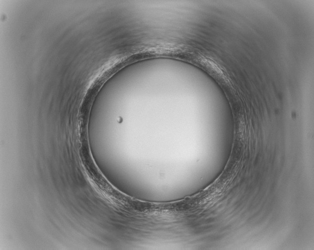 X0000059850730200511181537