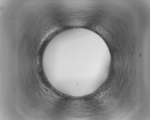 X0000059850731200511181538