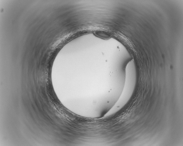 X0000059850732200511181538